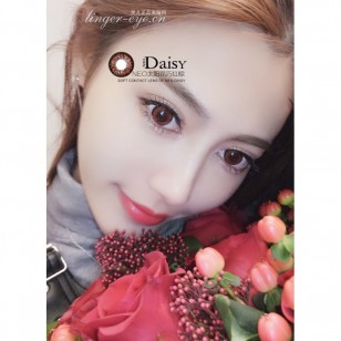 NEO Sunflower Hazel(N227)